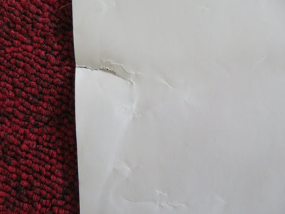 CHRISTOPHER ROBIN US ONE SHEET ROLLED POSTER DISNEY MCGREGOR MARK GATISS 2018 Rendezvous Cinema Movie posters