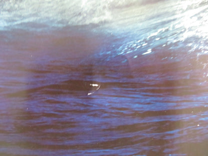 CHRONICLES OF NARNIA: THE VOYAGE OF THE DAWN... - B UK QUAD ROLLED POSTER 2010 Movie posters