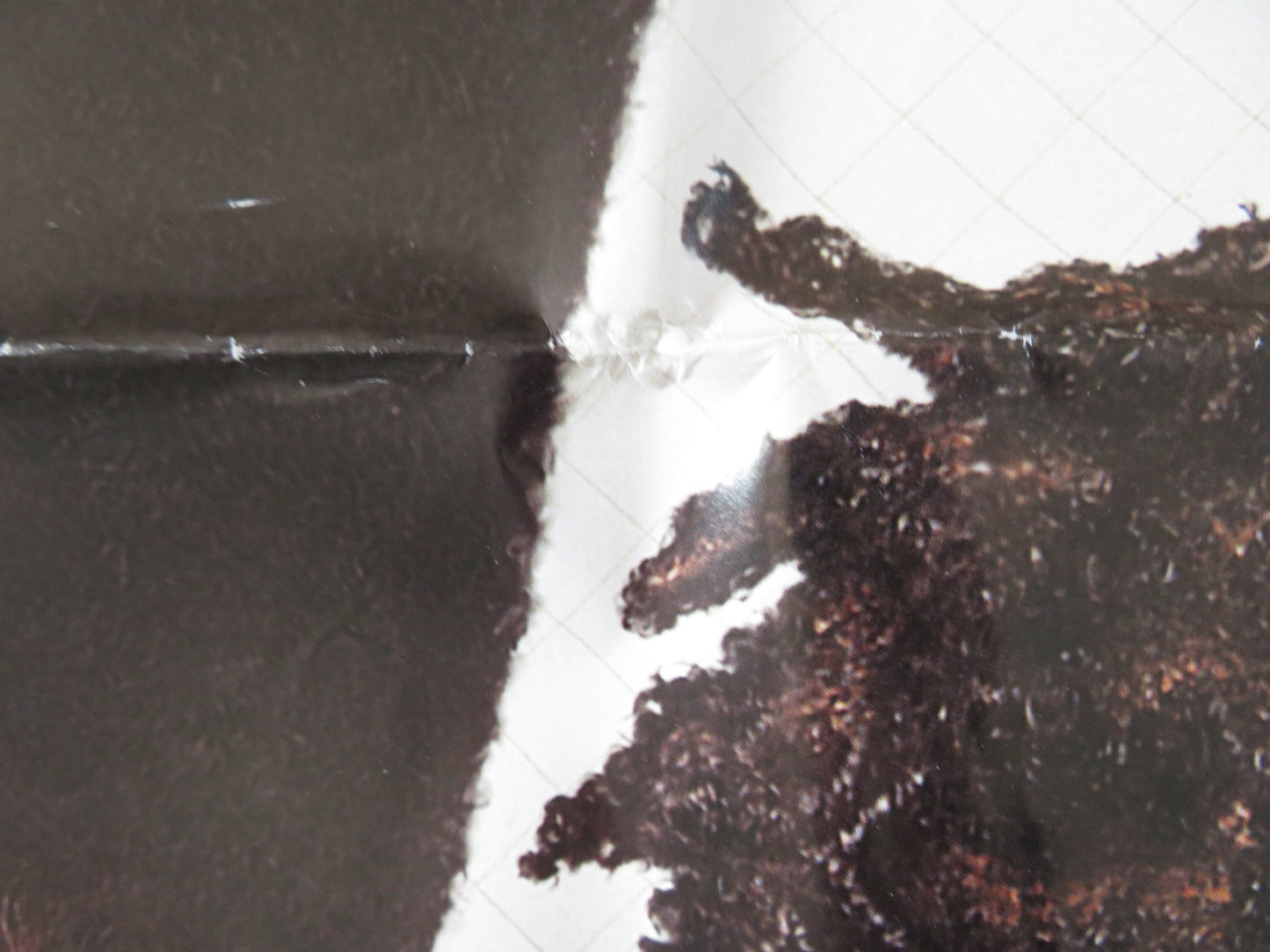 CLASS ACT FOLDED US ONE SHEET POSTER CHRISTOPHER REID CHRISTOPHER MARTIN 1992 Rendezvous Cinema Movie posters