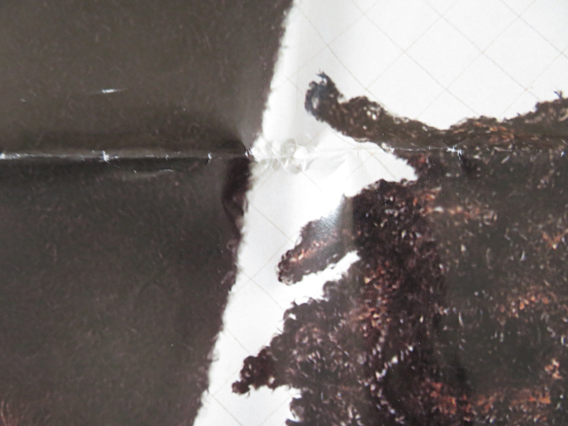 CLASS ACT FOLDED US ONE SHEET POSTER CHRISTOPHER REID CHRISTOPHER MARTIN 1992 Rendezvous Cinema Movie posters