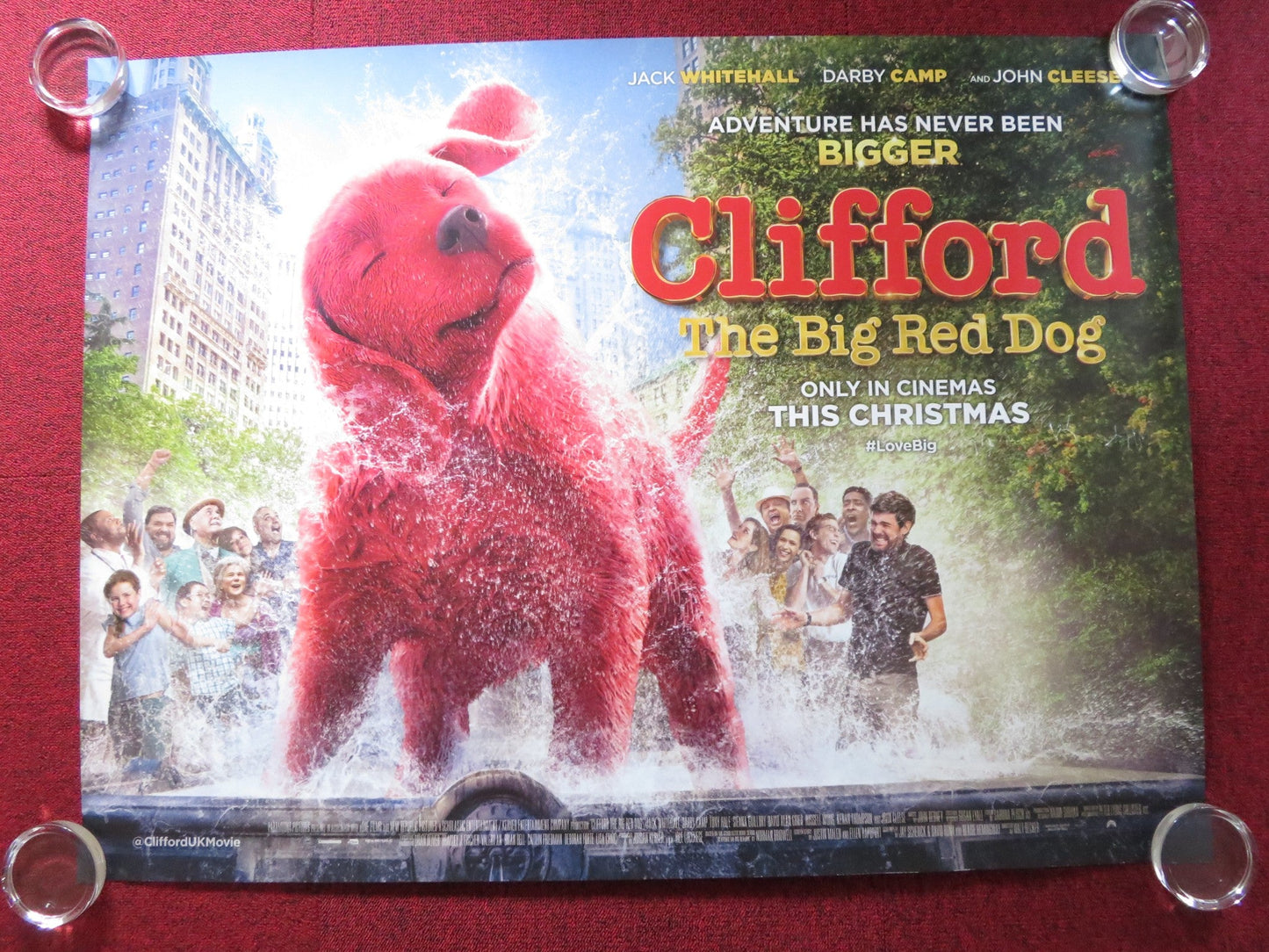 CLIFFORD THE BIG RED DOG - B UK QUAD ROLLED POSTER DARBY CAMP J. WHITEHALL 2021 Rendezvous Cinema Movie posters