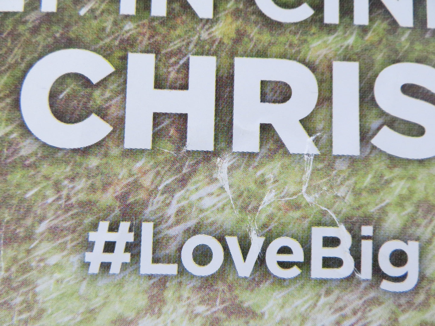 CLIFFORD THE BIG RED DOG - B UK QUAD ROLLED POSTER DARBY CAMP J. WHITEHALL 2021 Rendezvous Cinema Movie posters