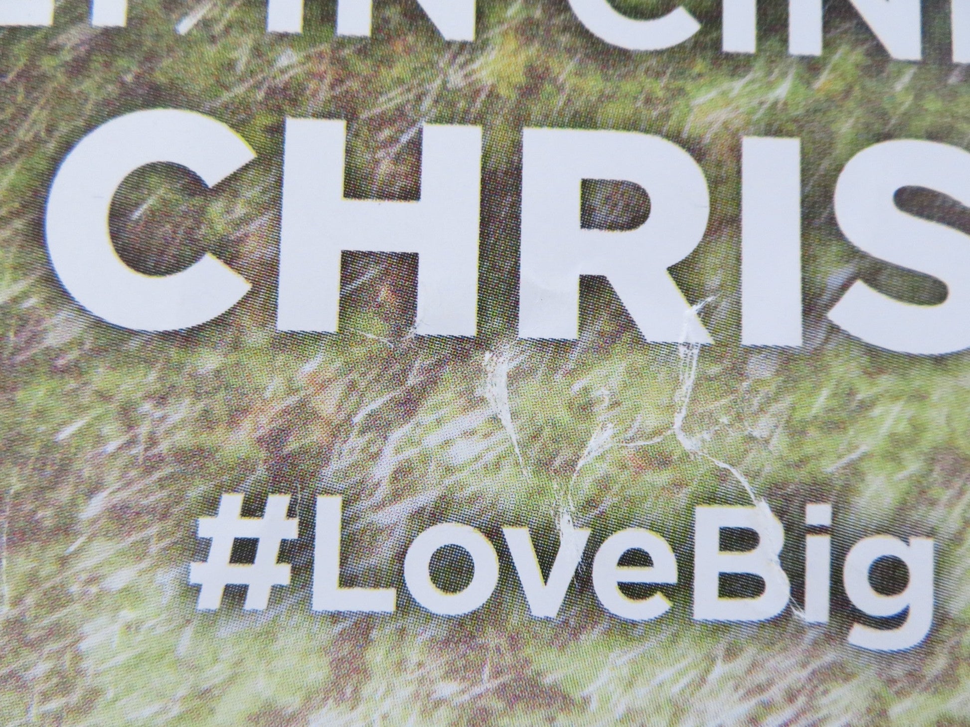 CLIFFORD THE BIG RED DOG - B UK QUAD ROLLED POSTER DARBY CAMP J. WHITEHALL 2021 Rendezvous Cinema Movie posters