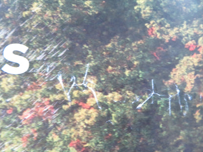 CLIFFORD THE BIG RED DOG - B UK QUAD ROLLED POSTER DARBY CAMP J. WHITEHALL 2021 Rendezvous Cinema Movie posters