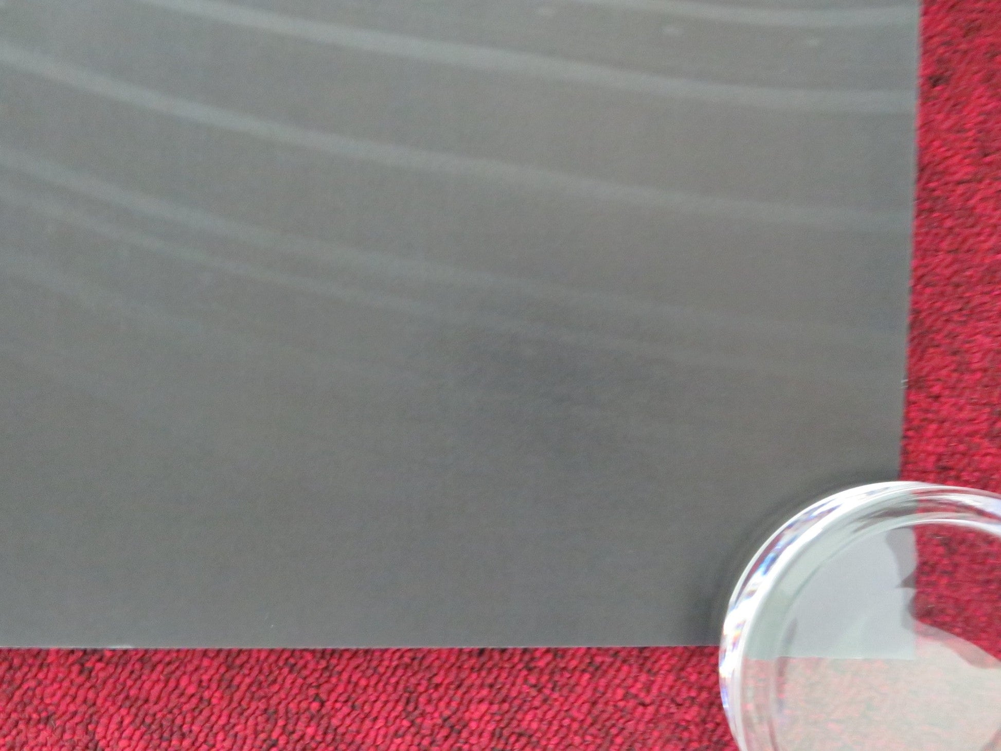 COASTAL UK QUAD ROLLED POSTER NEIL YOUNG BOB RICE 2024 Movie posters