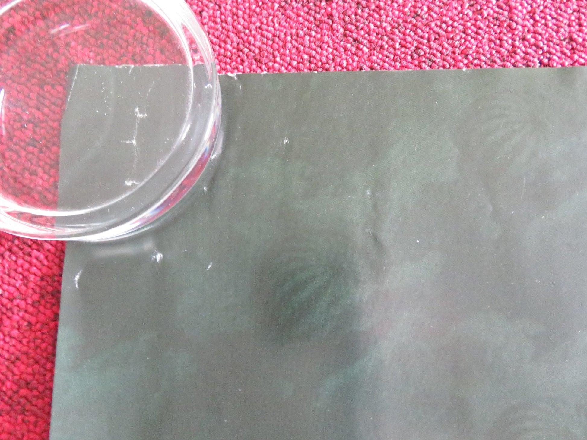 COBWEB UK QUAD ROLLED POSTER LIZZY CAPLAN ANTONY STARR 2023 Rendezvous Cinema Movie posters