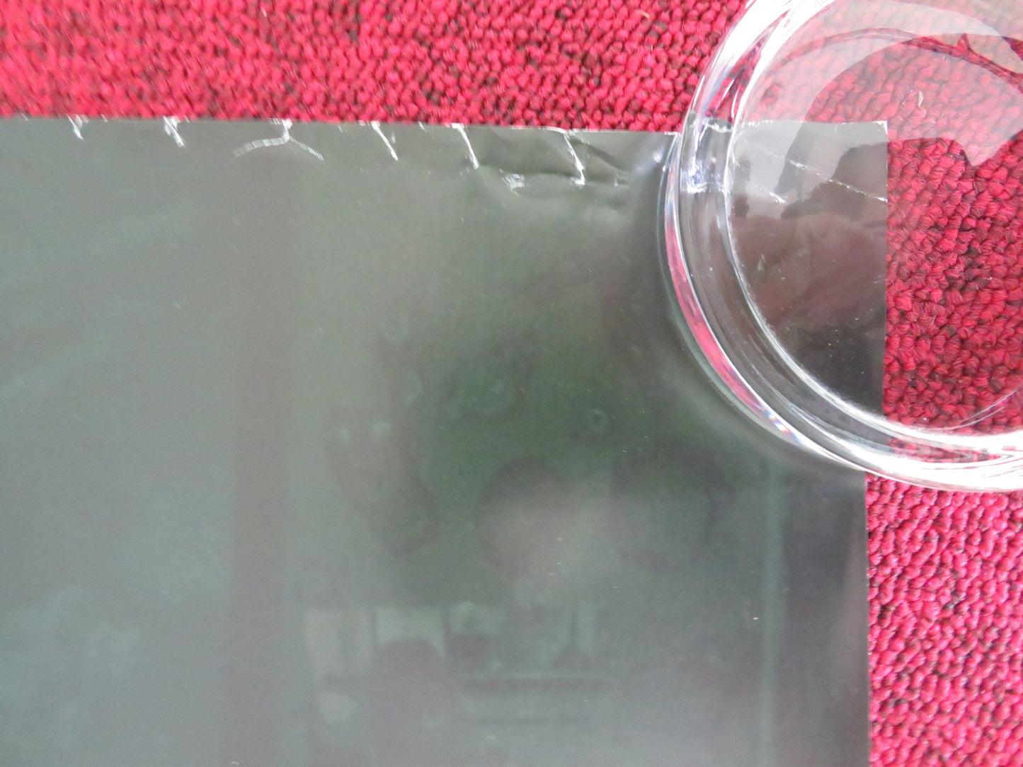 COBWEB UK QUAD ROLLED POSTER LIZZY CAPLAN ANTONY STARR 2023 Rendezvous Cinema Movie posters