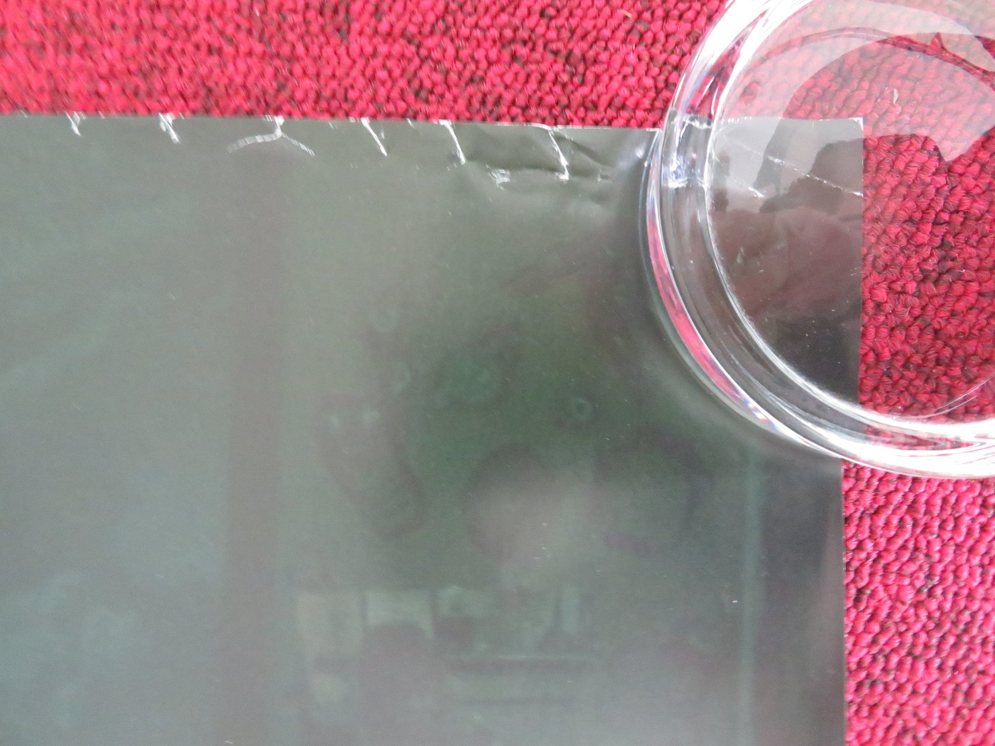 COBWEB UK QUAD ROLLED POSTER LIZZY CAPLAN ANTONY STARR 2023 Rendezvous Cinema Movie posters