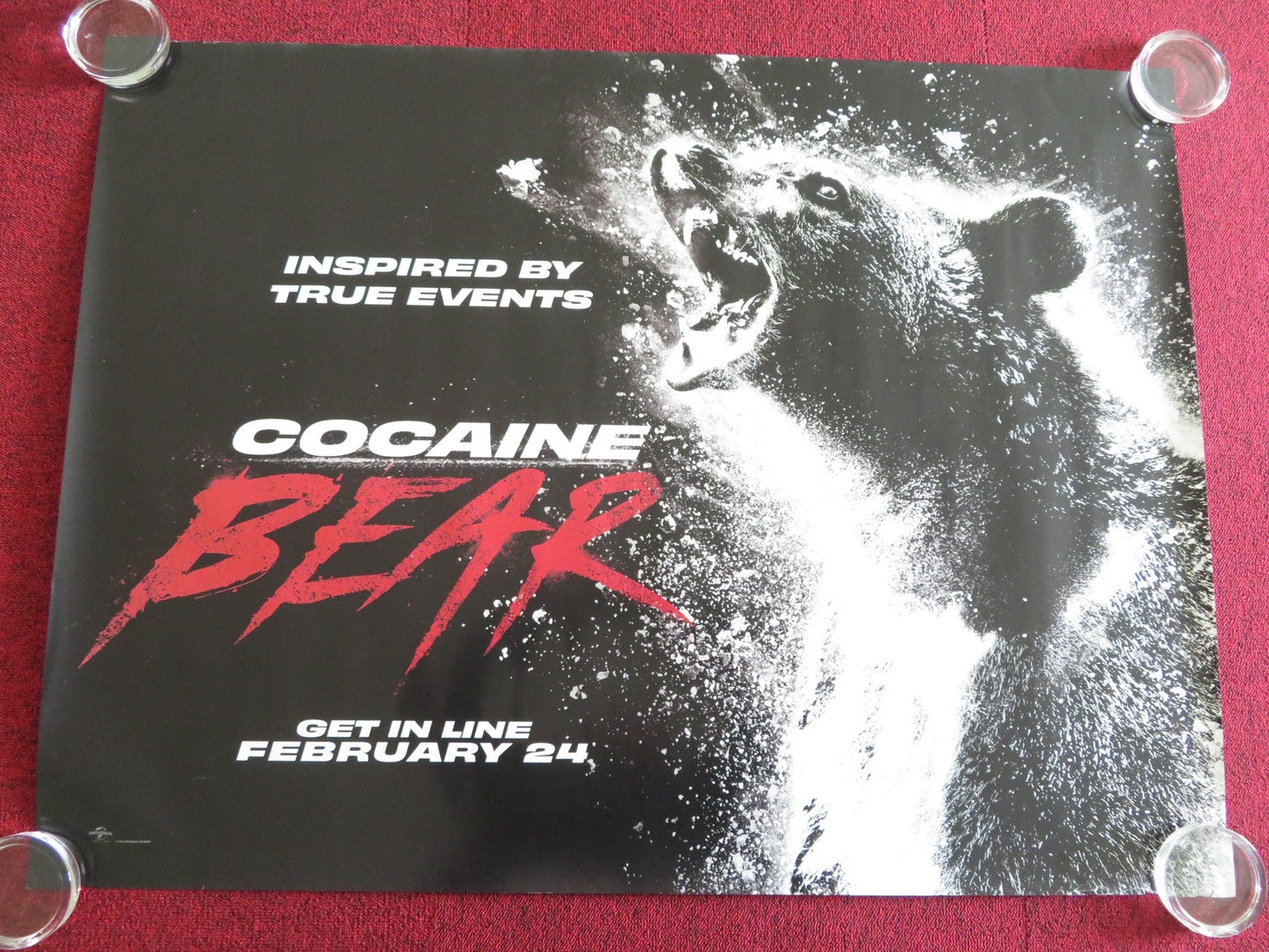 COCAINE BEAR UK QUAD ROLLED POSTER RAY LIOTTA KERI RUSSELL 2023 Rendezvous Cinema Movie posters