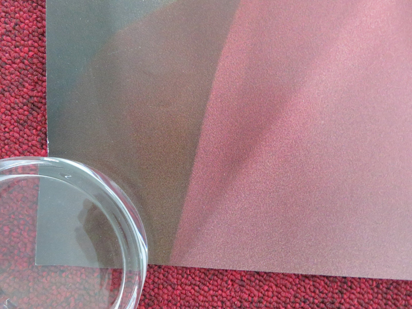 COMPANION UK QUAD ROLLED POSTER SOPHIE THATCHER JACK QUAID 2025 Movie posters