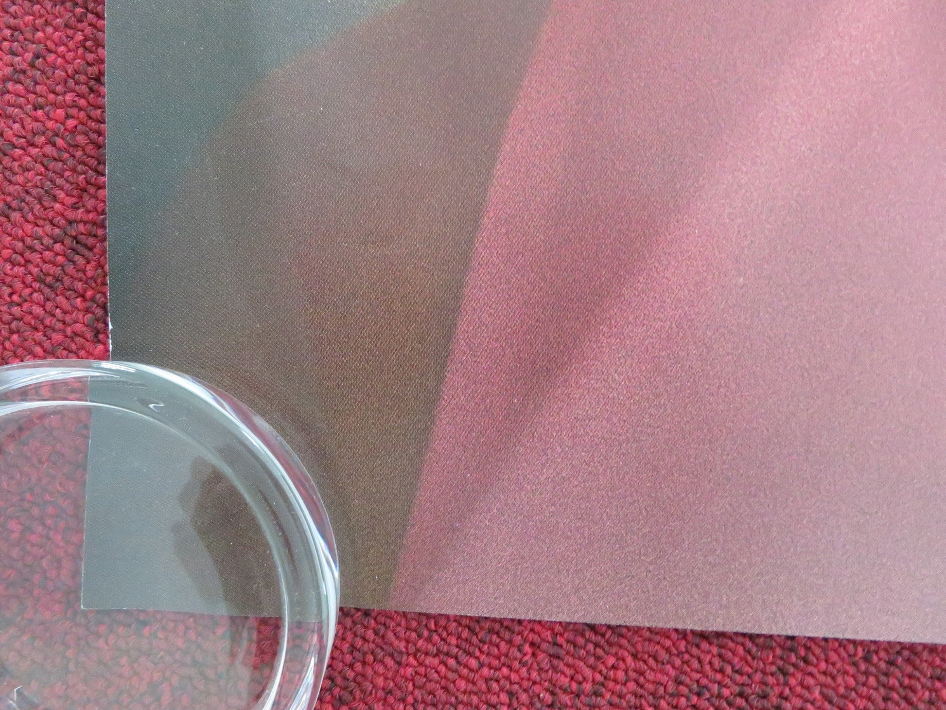 COMPANION UK QUAD ROLLED POSTER SOPHIE THATCHER JACK QUAID 2025 Movie posters