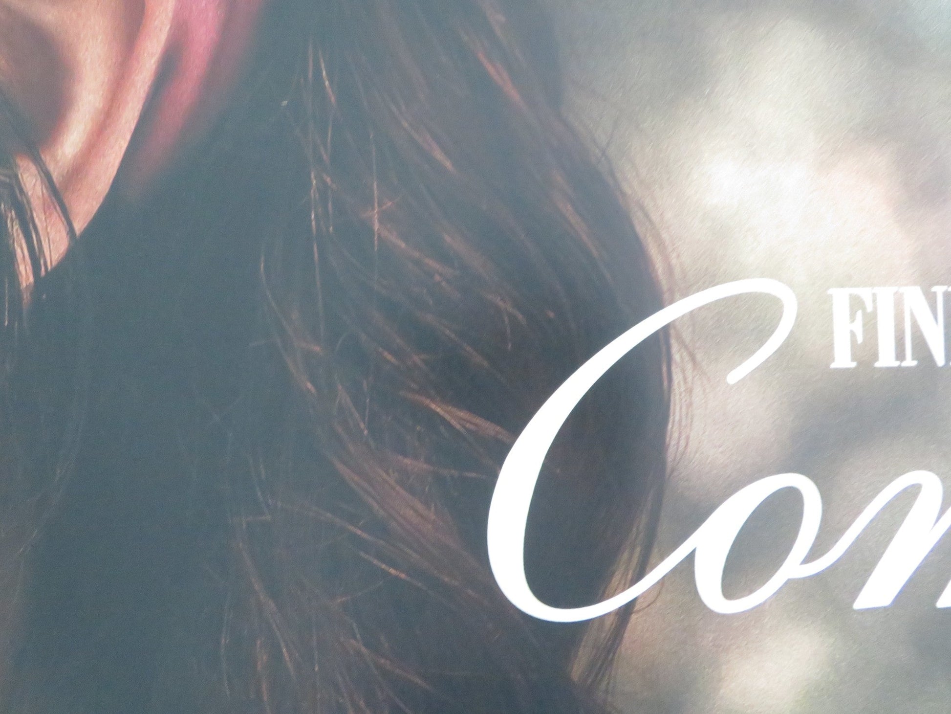 COMPANION UK QUAD ROLLED POSTER SOPHIE THATCHER JACK QUAID 2025 Movie posters