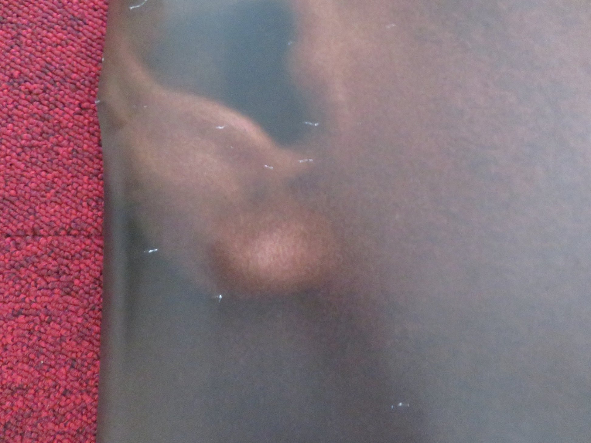 CONCUSSION UK QUAD ROLLED POSTER WILL SMITH ALEC BALDWIN 2015 Rendezvous Cinema Movie posters