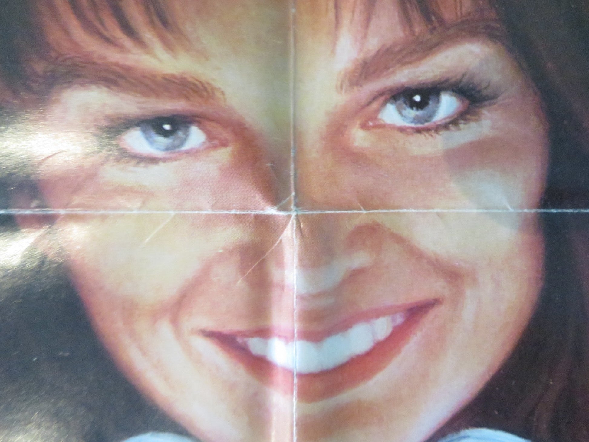 CONTINENTAL DIVIDE FOLDED US ONE SHEET POSTER JOHN BELUSHI BLAIR BROWN 1981 Rendezvous Cinema Movie posters