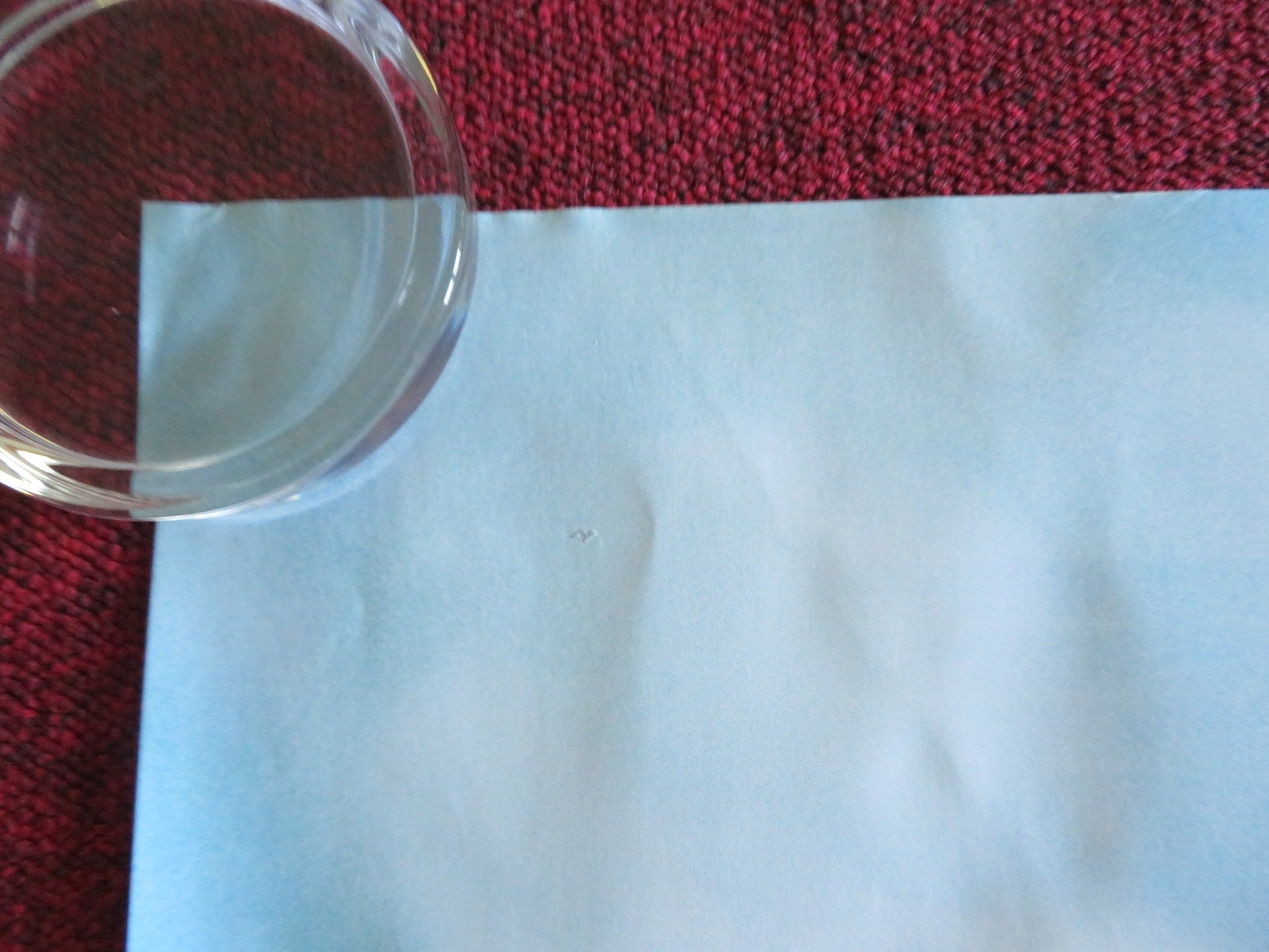 COPA 71 UK QUAD ROLLED POSTER ELVIRA ARACEN JANICE BARTON 2023 Rendezvous Cinema Movie posters