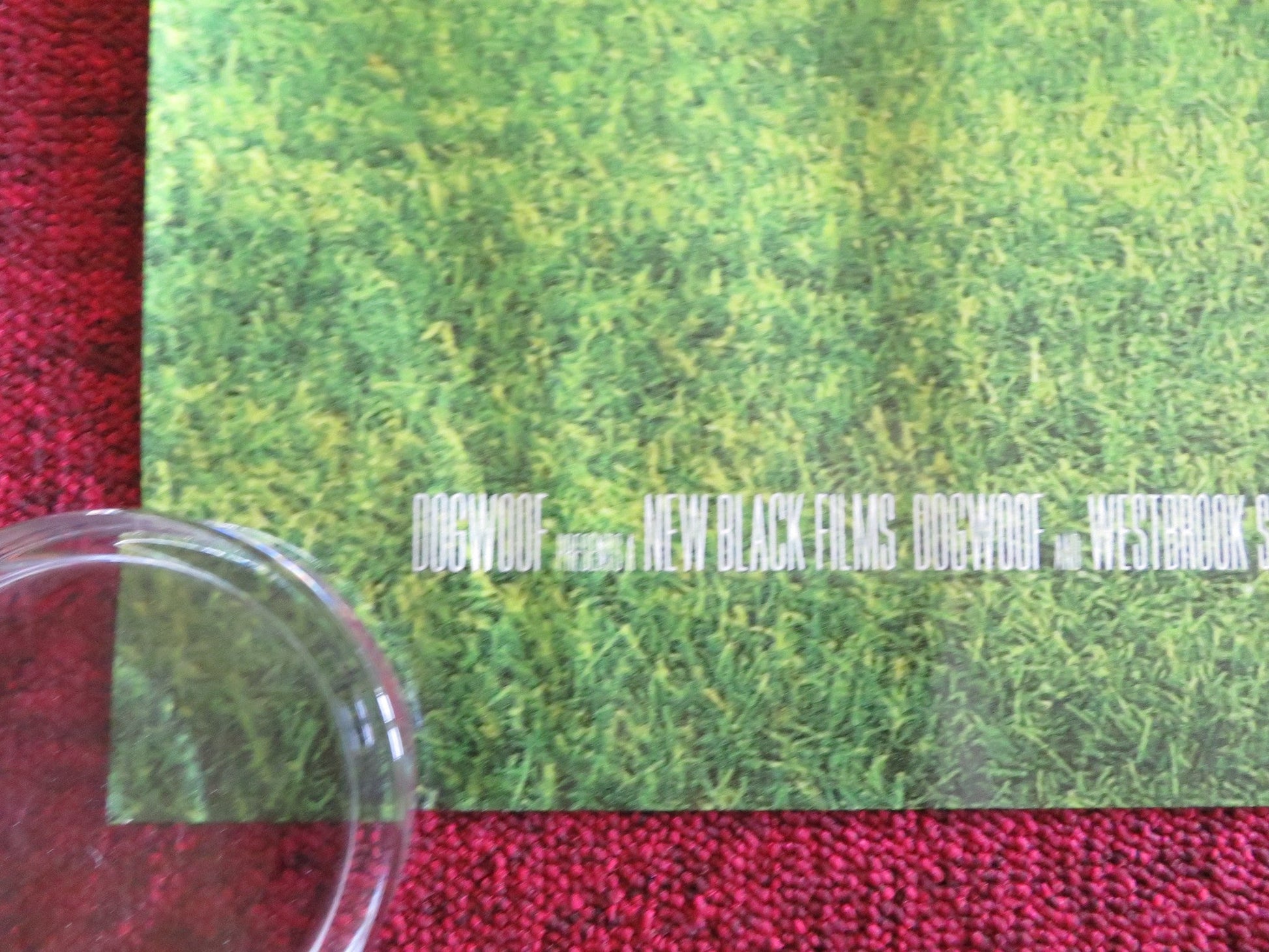 COPA 71 UK QUAD ROLLED POSTER ELVIRA ARACEN JANICE BARTON 2023 Rendezvous Cinema Movie posters