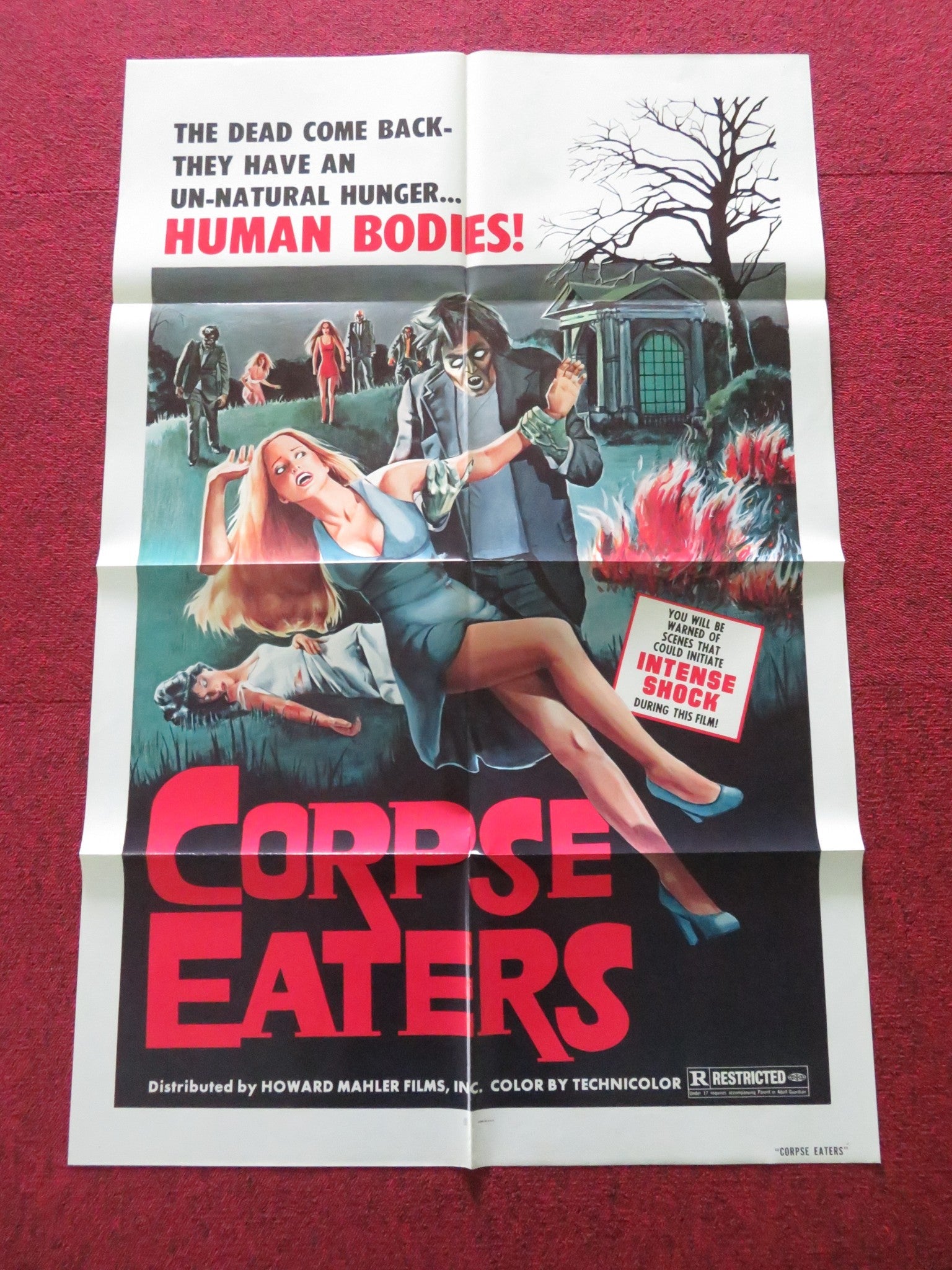 CORPSE EATERS FOLDED US ONE SHEET POSTER MICHAEL HOPKINS ED LEBRETON 1974 Movie posters