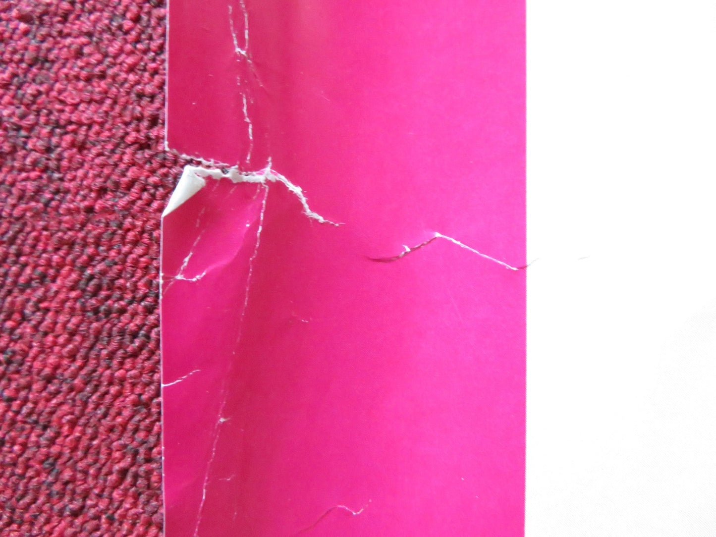 CORSAGE UK QUAD ROLLED POSTER VICKY KRIEPS FLORIAN TEICHTMEISTER 2022 Rendezvous Cinema Movie posters