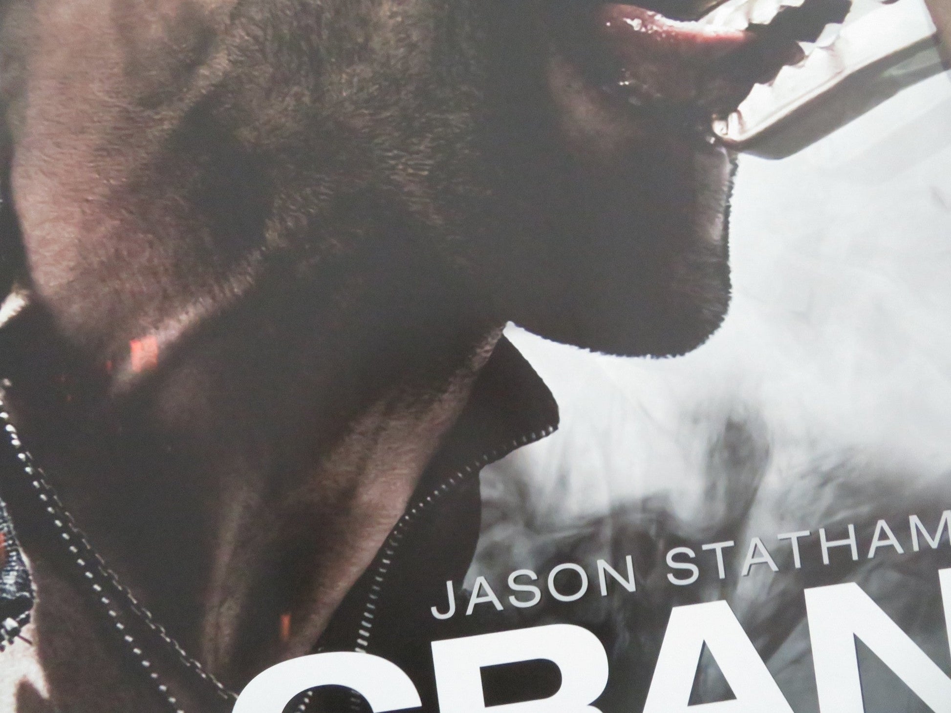 CRANK 2: HIGH VOLTAGE UK QUAD ROLLED POSTER JASON STATHAM AMY SMART 2009 Movie posters