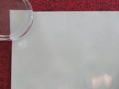 CRANK 2: HIGH VOLTAGE UK QUAD ROLLED POSTER JASON STATHAM AMY SMART 2009 Movie posters