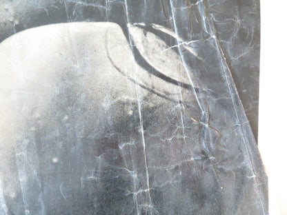 CRAZED FRUIT - A ITALIAN FOTOBUSTA POSTER YUJIRO ISHIHARA MASAHIKO TSUGAWA 1959 Rendezvous Cinema Movie posters