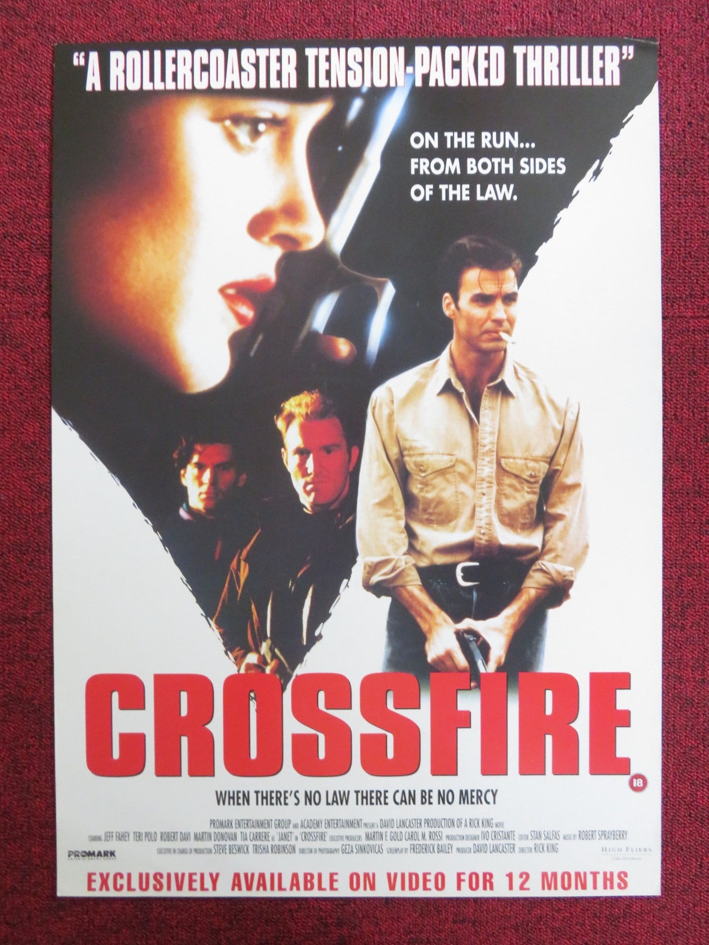 CROSSFIRE VHS VIDEO POSTER JEFF FAHEY TERI POLO 1993 Rendezvous Cinema Movie posters