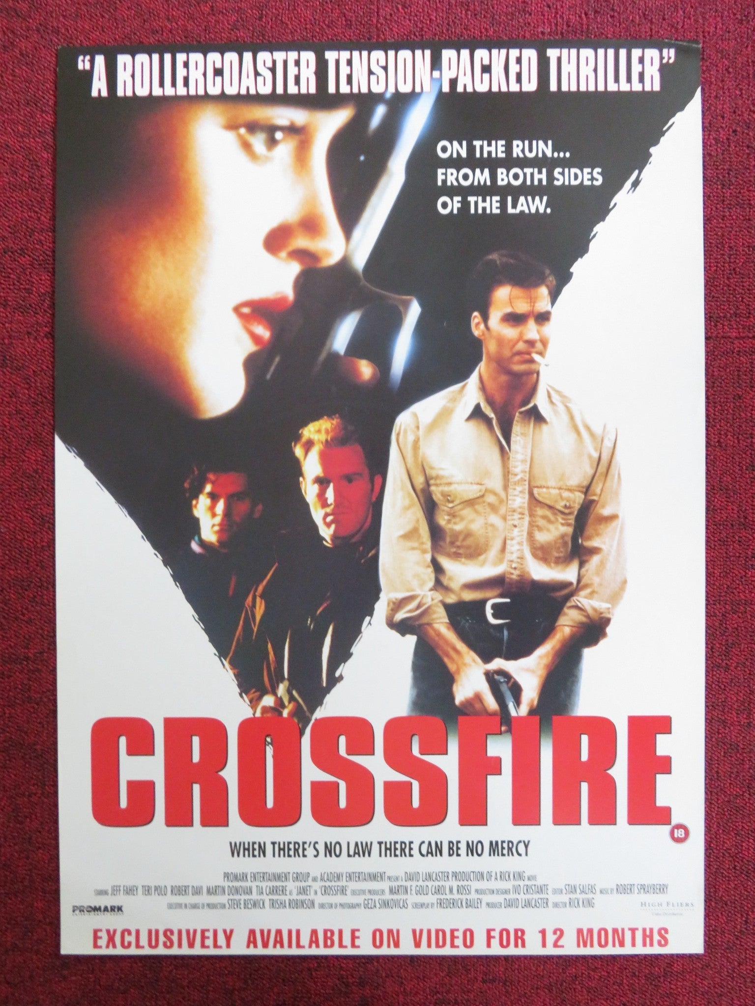 CROSSFIRE VHS VIDEO POSTER JEFF FAHEY TERI POLO 1993 Rendezvous Cinema Movie posters