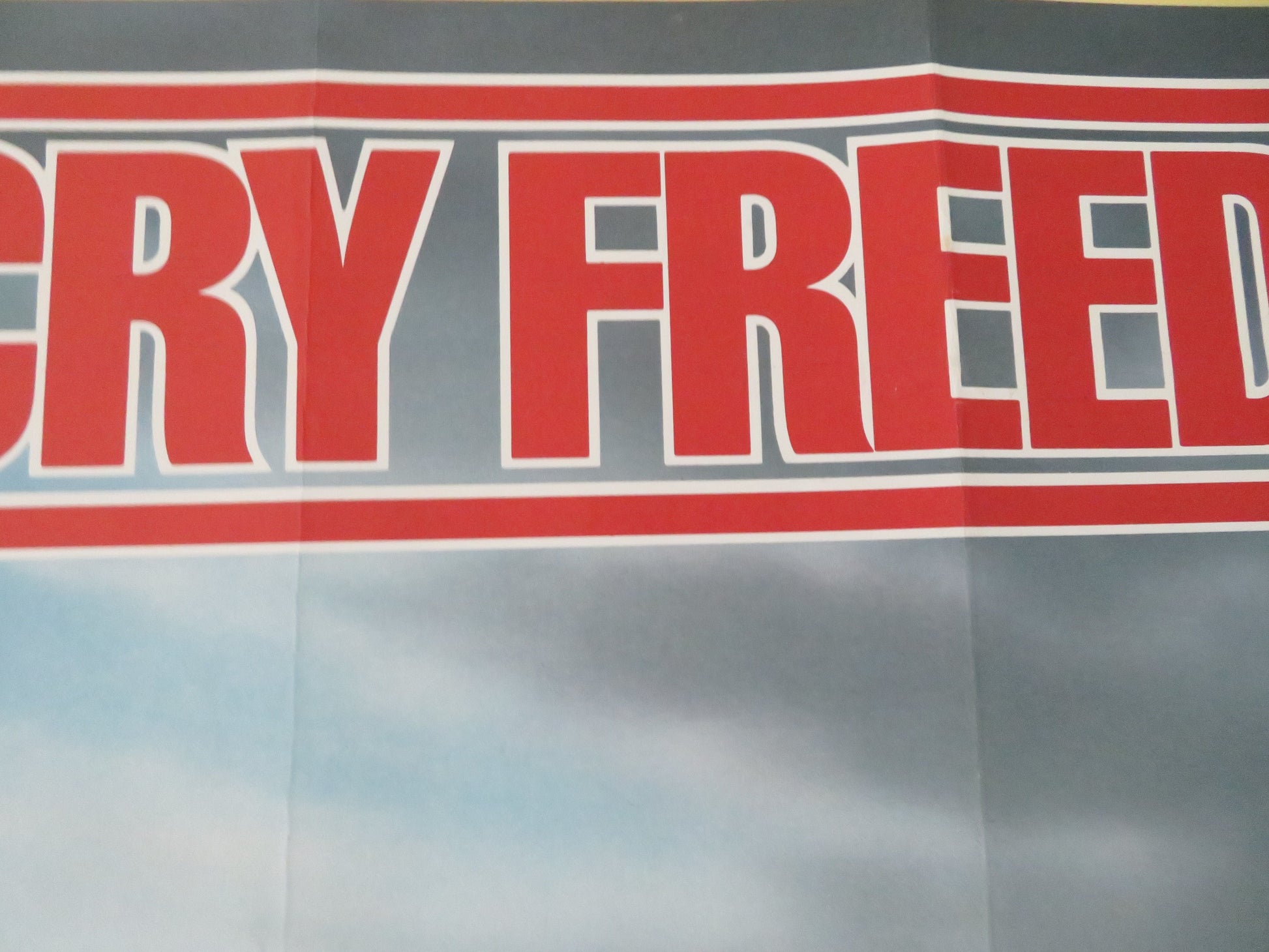 Cry Freedom UK Quad Rolled Poster Kevin Kline Denzel Washington 1987 Movie posters