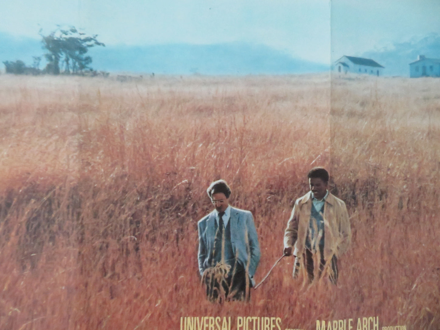 Cry Freedom UK Quad Rolled Poster Kevin Kline Denzel Washington 1987 Movie posters