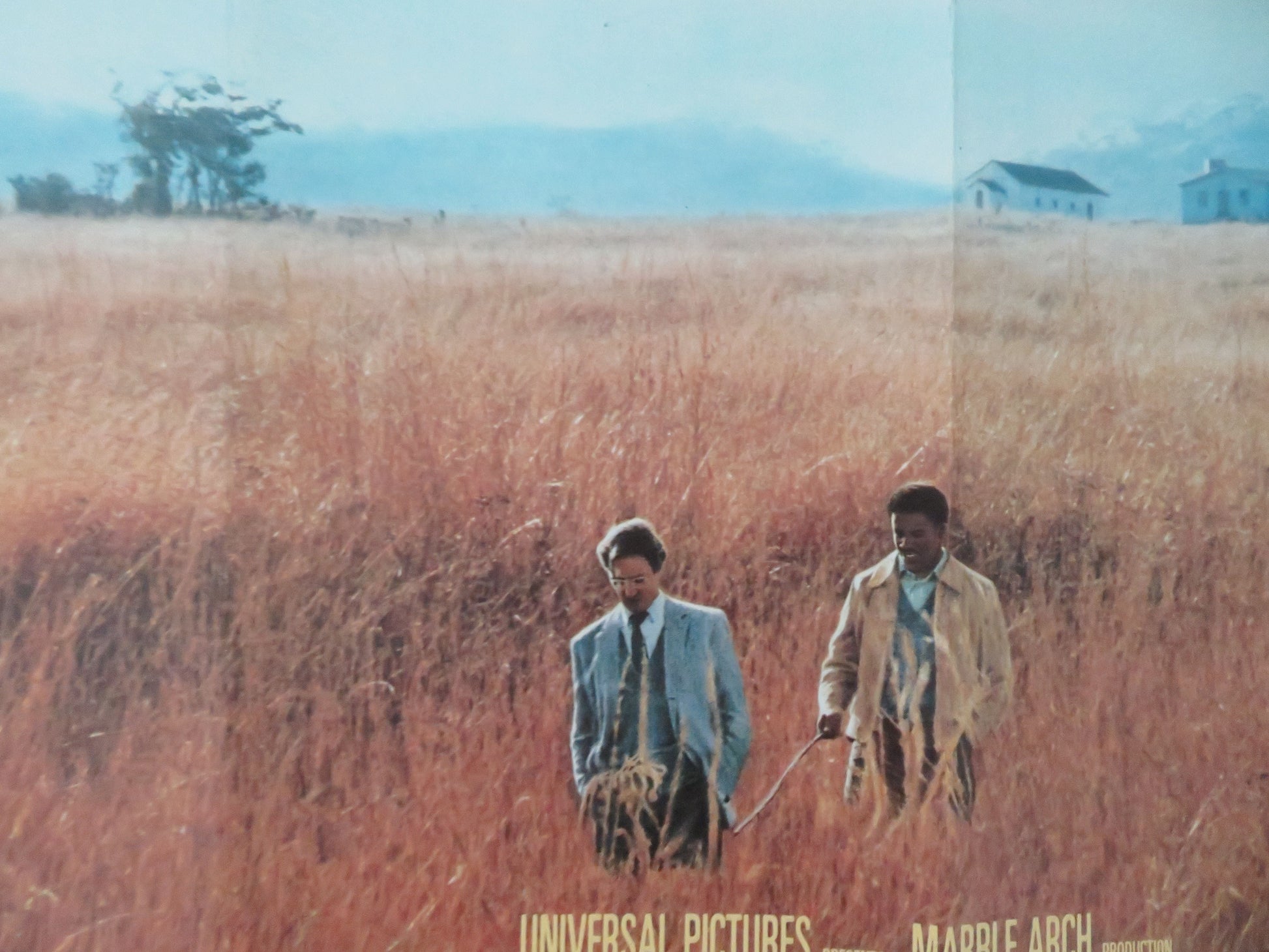 Cry Freedom UK Quad Rolled Poster Kevin Kline Denzel Washington 1987 Movie posters