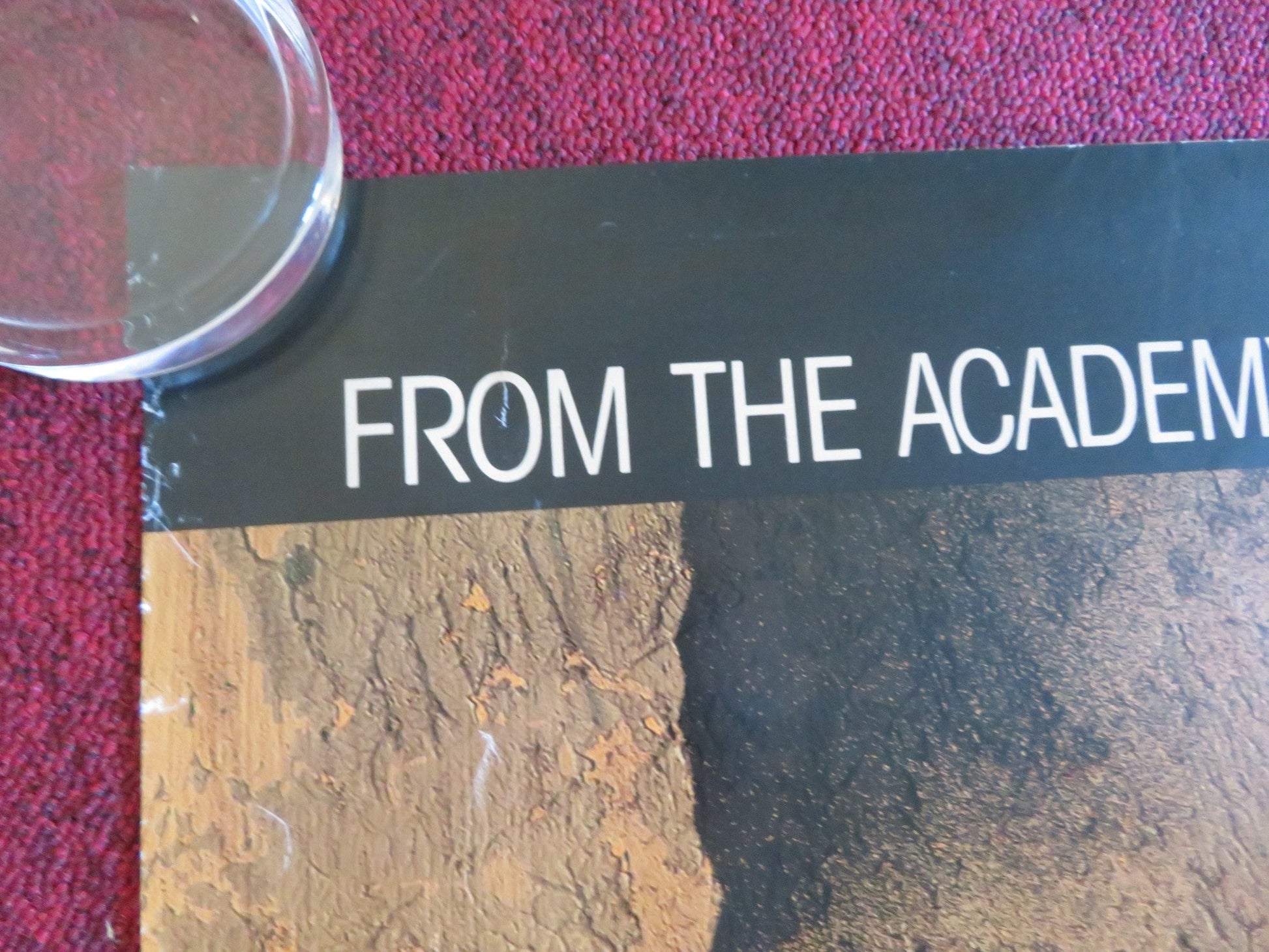 CRY FREEDOM US ONE SHEET ROLLED POSTER KEVIN KLINE DENZEL WASHINGTON 1987 Rendezvous Cinema Movie posters