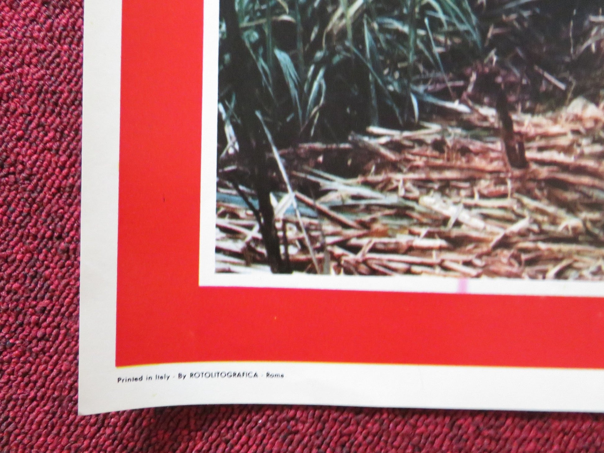 CUBA - F ITALIAN FOTOBUSTA POSTER SEAN CONNERY BROOKE ADAMS 1979 Rendezvous Cinema Movie posters