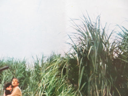 CUBA - F ITALIAN FOTOBUSTA POSTER SEAN CONNERY BROOKE ADAMS 1979 Rendezvous Cinema Movie posters