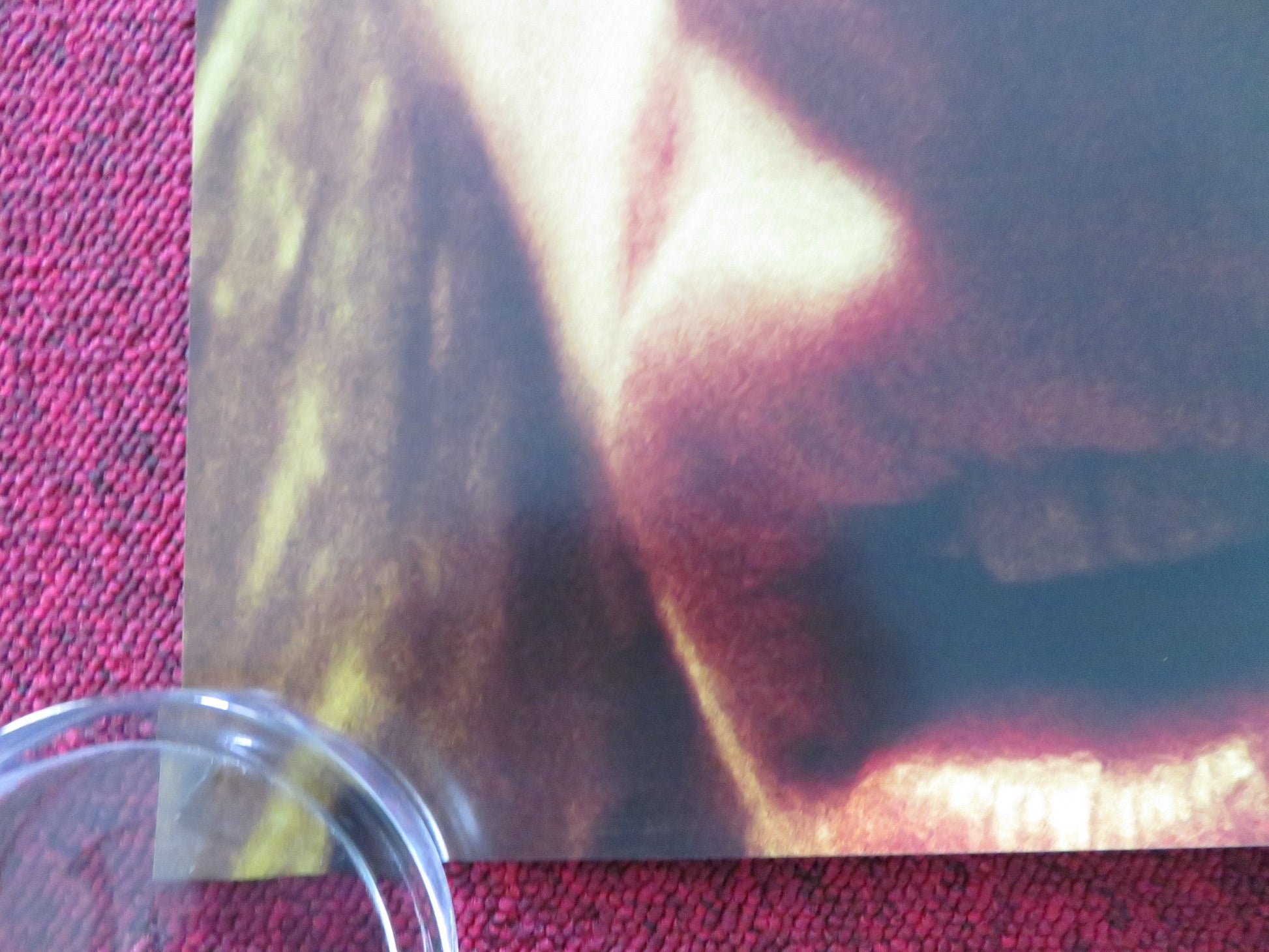 CUCKOO US ONE SHEET ROLLED POSTER HUNTER SCHAFER JAN BLUTHARDT 2024 Rendezvous Cinema Movie posters