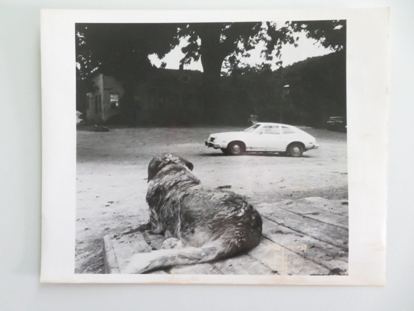 CUJO MOVIE STILL PHOTO LOT OF 4 DEE WALLACE DANNY PINTAURO 1983 Movie posters