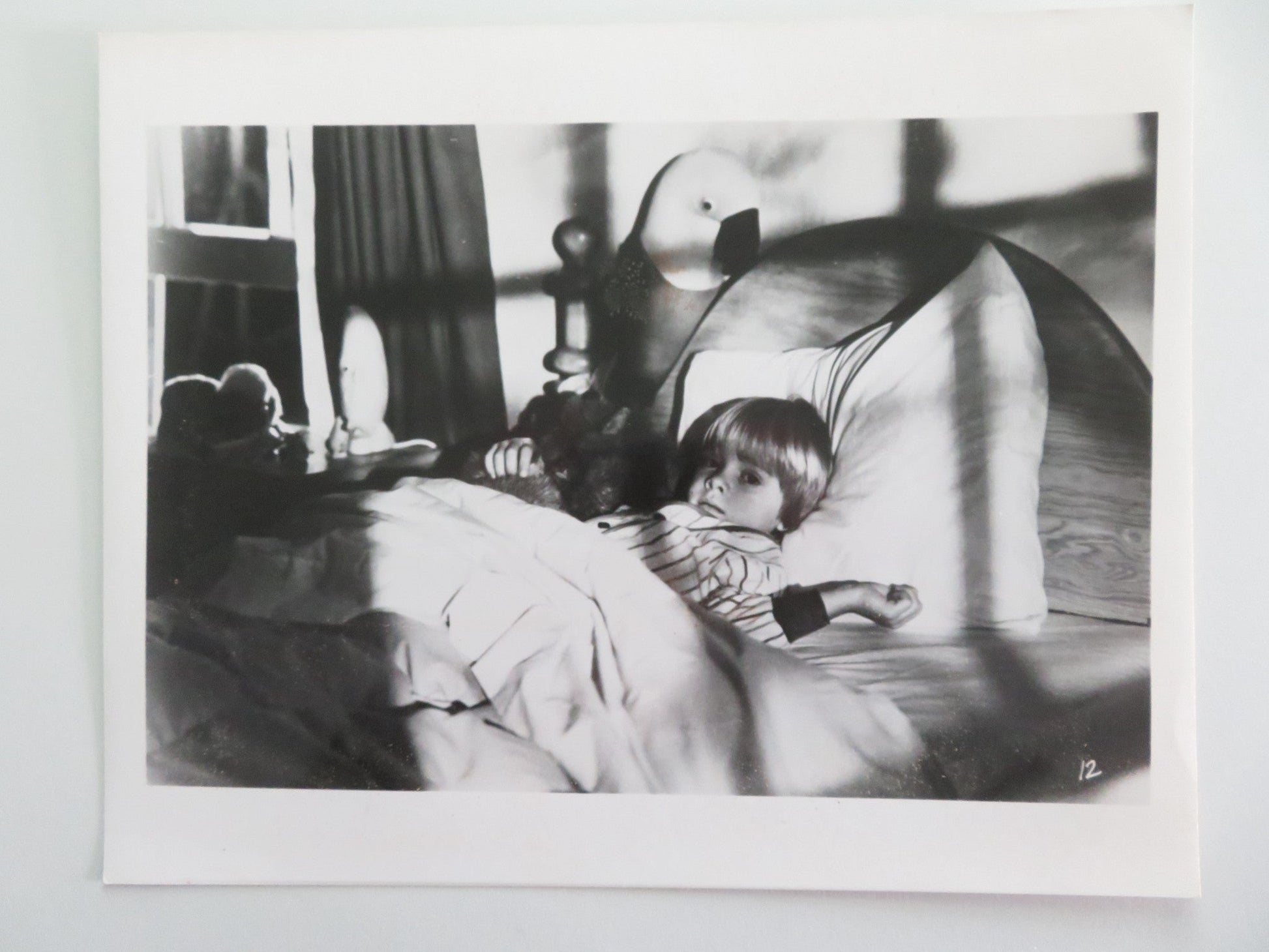 CUJO MOVIE STILL PHOTO LOT OF 4 DEE WALLACE DANNY PINTAURO 1983 Movie posters