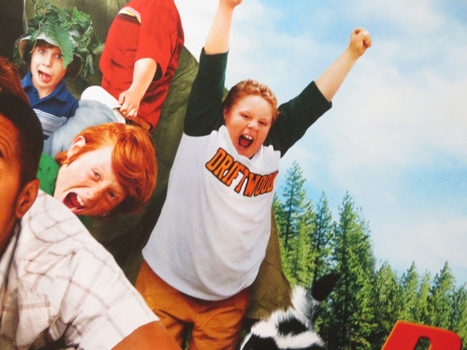 DADDY DAY CAMP UK QUAD ROLLED POSTER CUBA GOODING JR. RICHARD GANT 2007 Rendezvous Cinema Movie posters