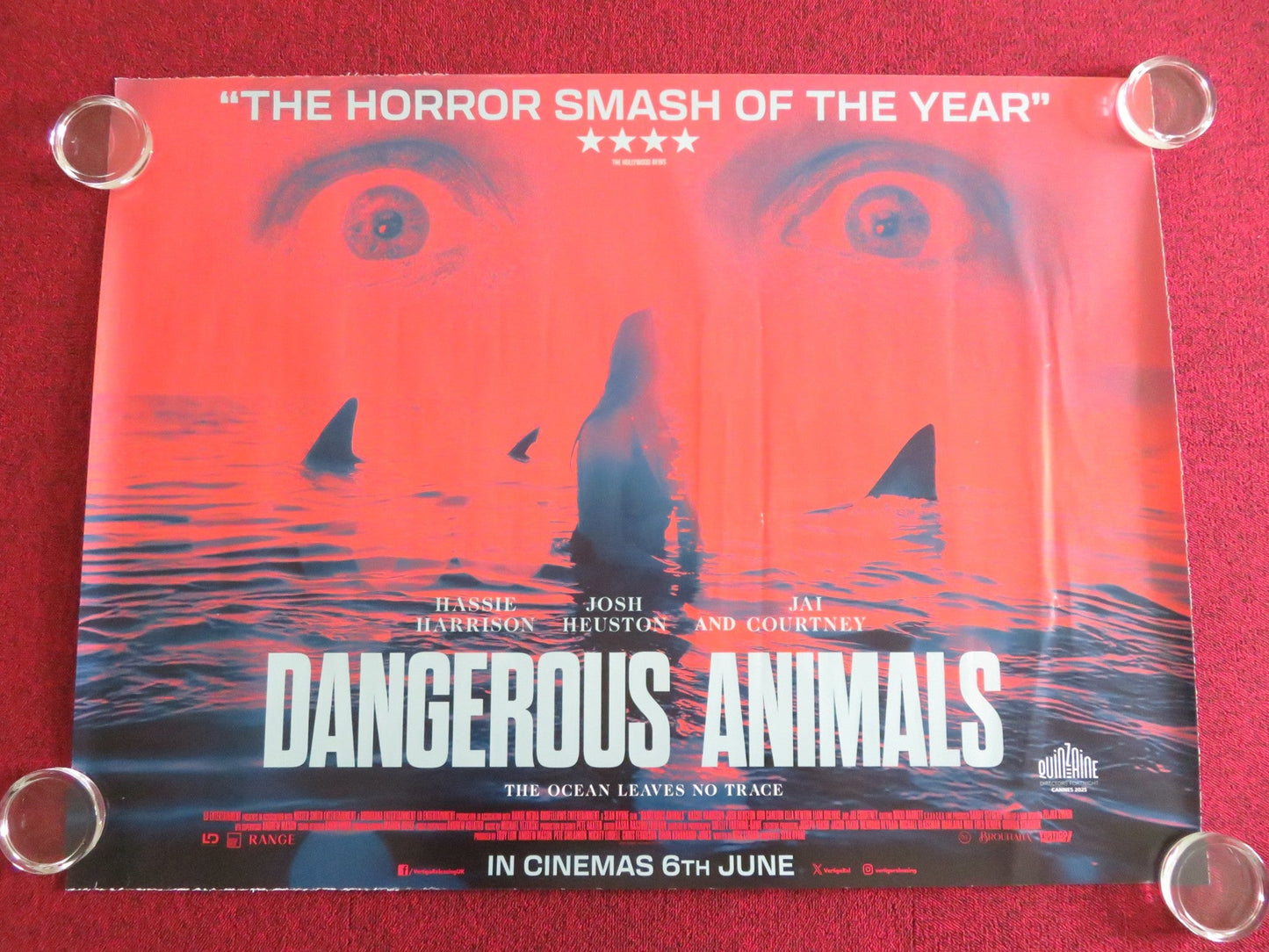 DANGEROUS ANIMALS UK QUAD ROLLED POSTER HASSIE HARRISON JAI COURTNEY 2025 Movie posters