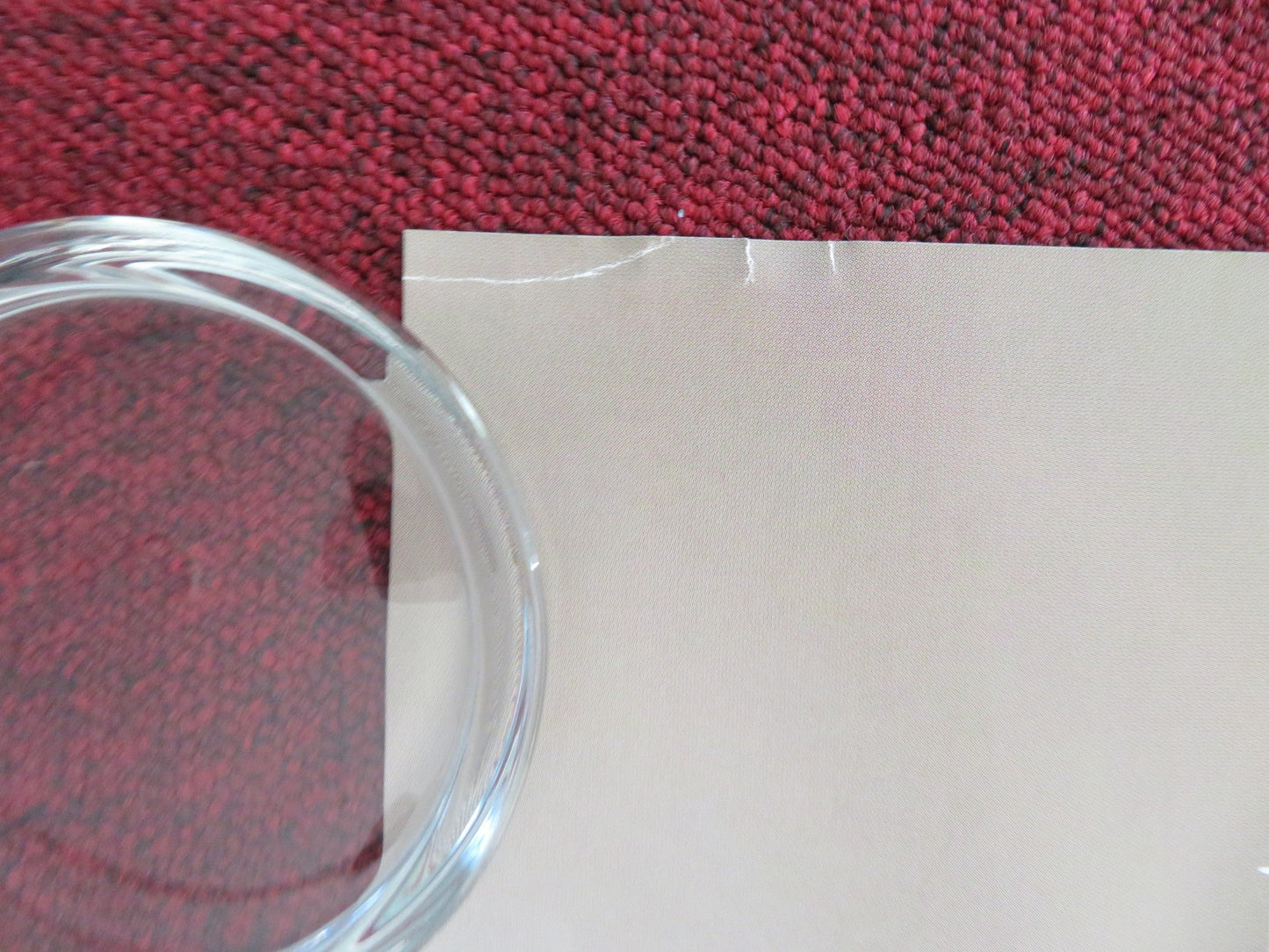 DARK HORSE UK QUAD ROLLED POSTER JAN VOKES HOWARD DAVIES 2015 Movie posters