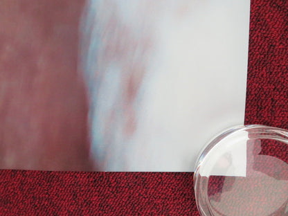 DARK HORSE UK QUAD ROLLED POSTER JAN VOKES HOWARD DAVIES 2015 Movie posters