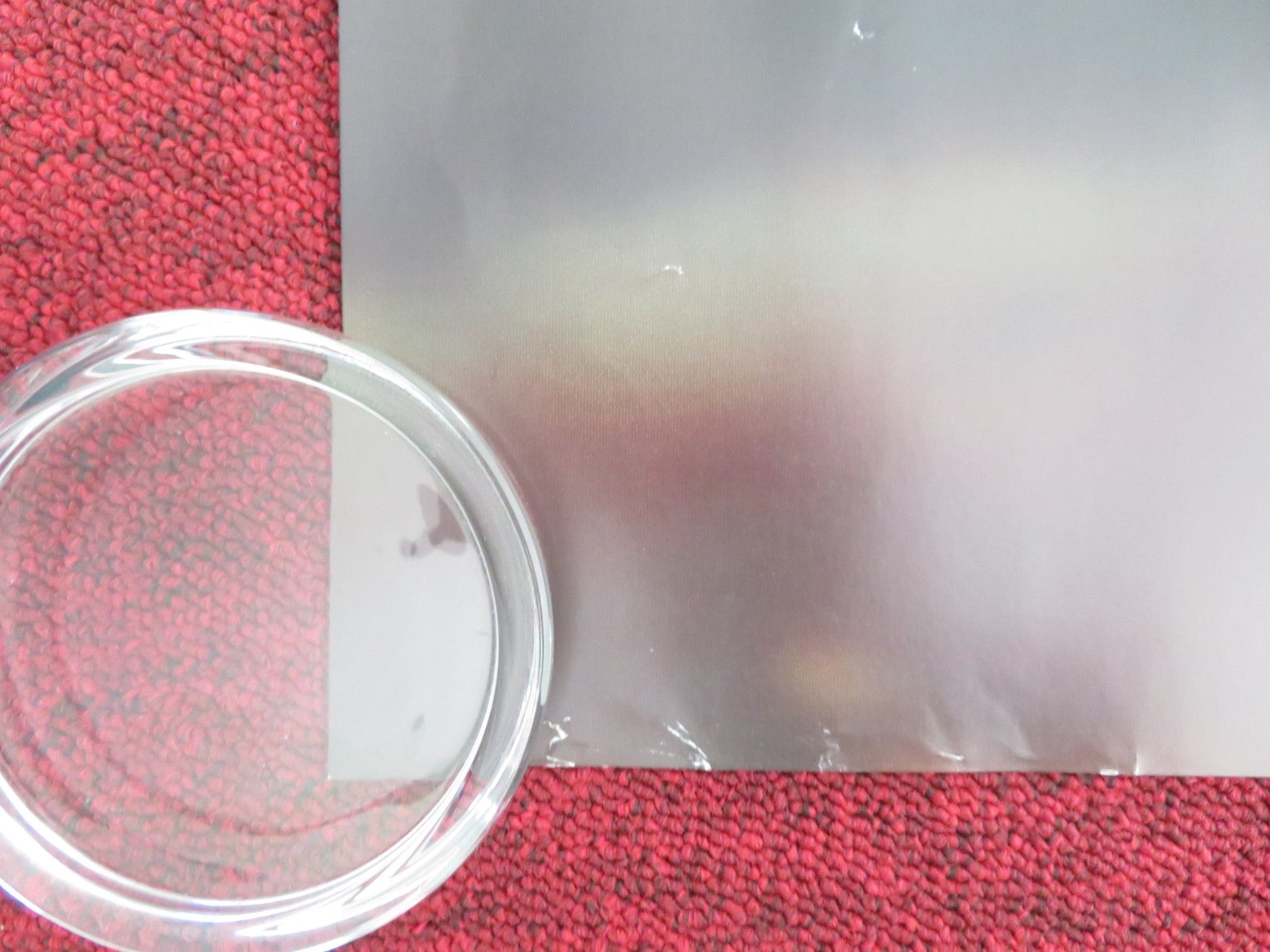 DARK HORSE UK QUAD ROLLED POSTER JAN VOKES HOWARD DAVIES 2015 Movie posters