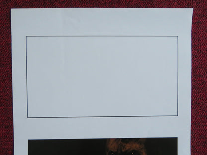 DARKNESS FALLS ITALIAN LOCANDINA POSTER CHANEY KLEY EMMA CAULFIELD FORD 2003 Rendezvous Cinema Movie posters