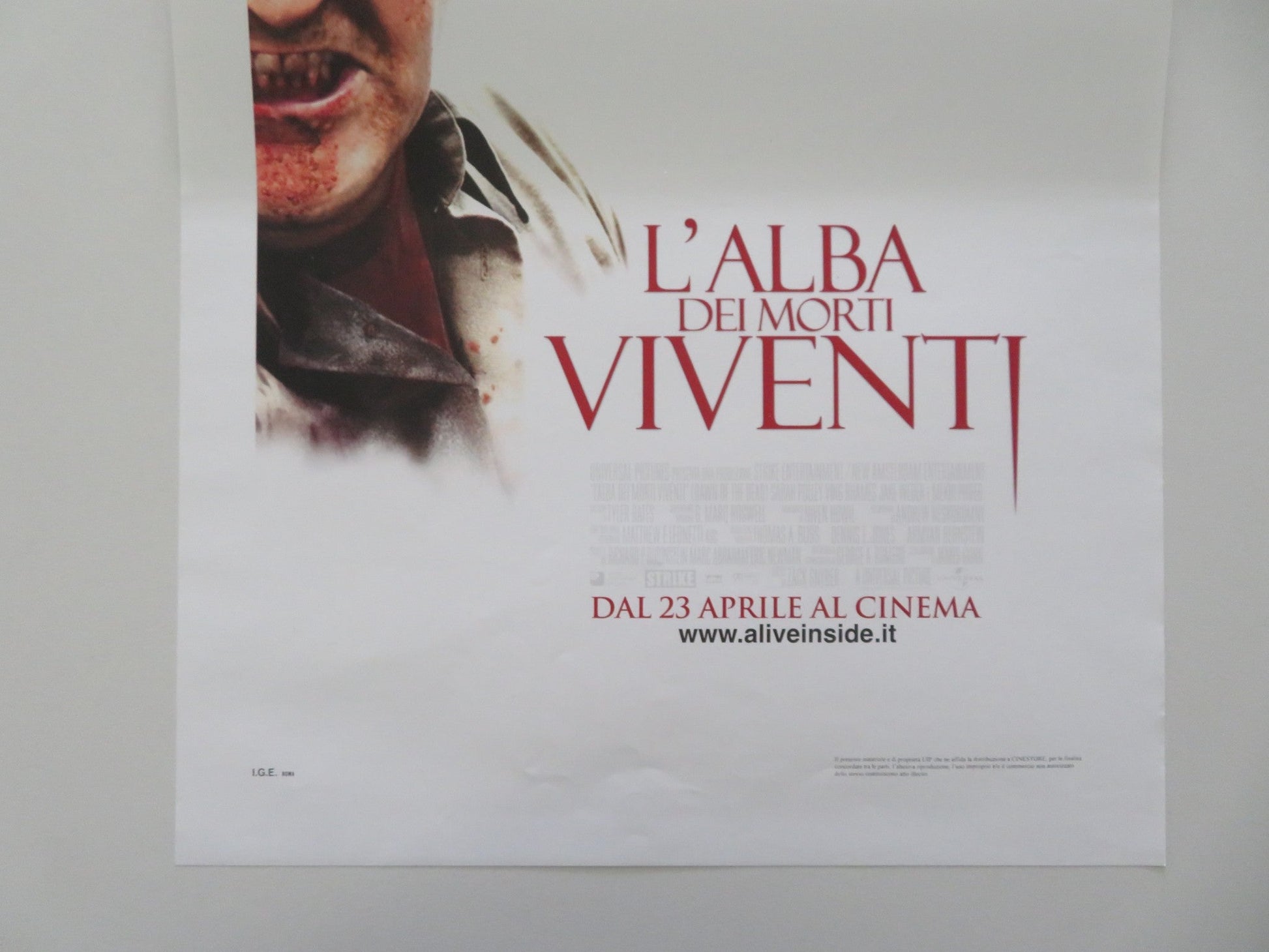 Dawn Of The Dead ITALIAN LOCANDINA POSTER SARAH POLLEY VING RHAMES 2004 Movie posters