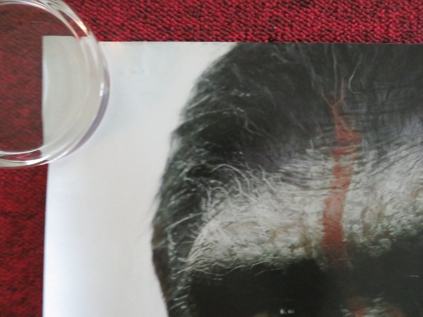 DAWN OF THE PLANET OF THE APES UK QUAD ROLLED POSTER ANDY SERKIS G. OLDMAN 2014 Movie posters