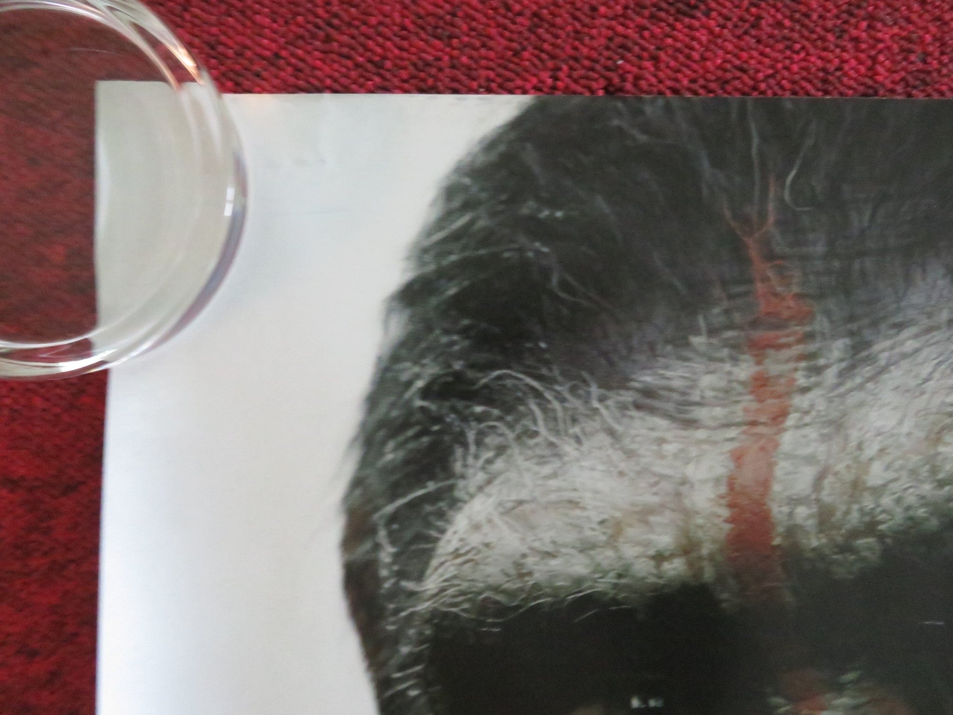 DAWN OF THE PLANET OF THE APES UK QUAD ROLLED POSTER ANDY SERKIS G. OLDMAN 2014 Movie posters