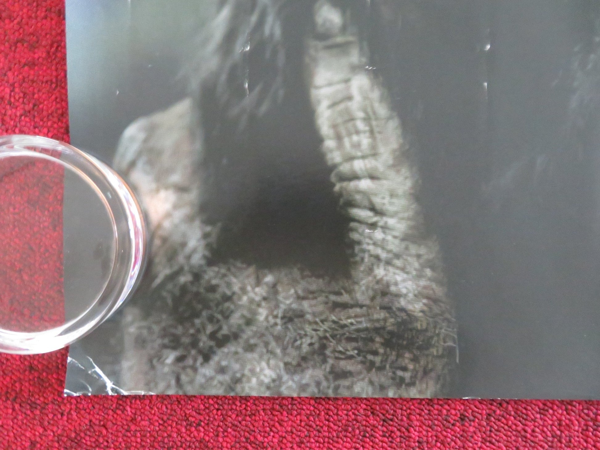 DAWN OF THE PLANET OF THE APES UK QUAD ROLLED POSTER ANDY SERKIS G. OLDMAN 2014 Movie posters