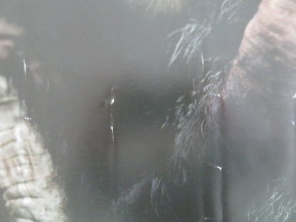 DAWN OF THE PLANET OF THE APES UK QUAD ROLLED POSTER ANDY SERKIS G. OLDMAN 2014 Movie posters