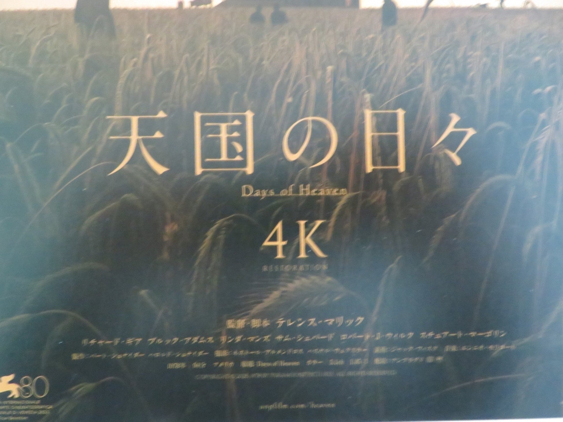 DAYS OF HEAVEN 4K JAPANESE CHIRASHI (B5) POSTER RICHARD GERE BROOKE ADAMS R2025 Rendezvous Cinema Movie posters
