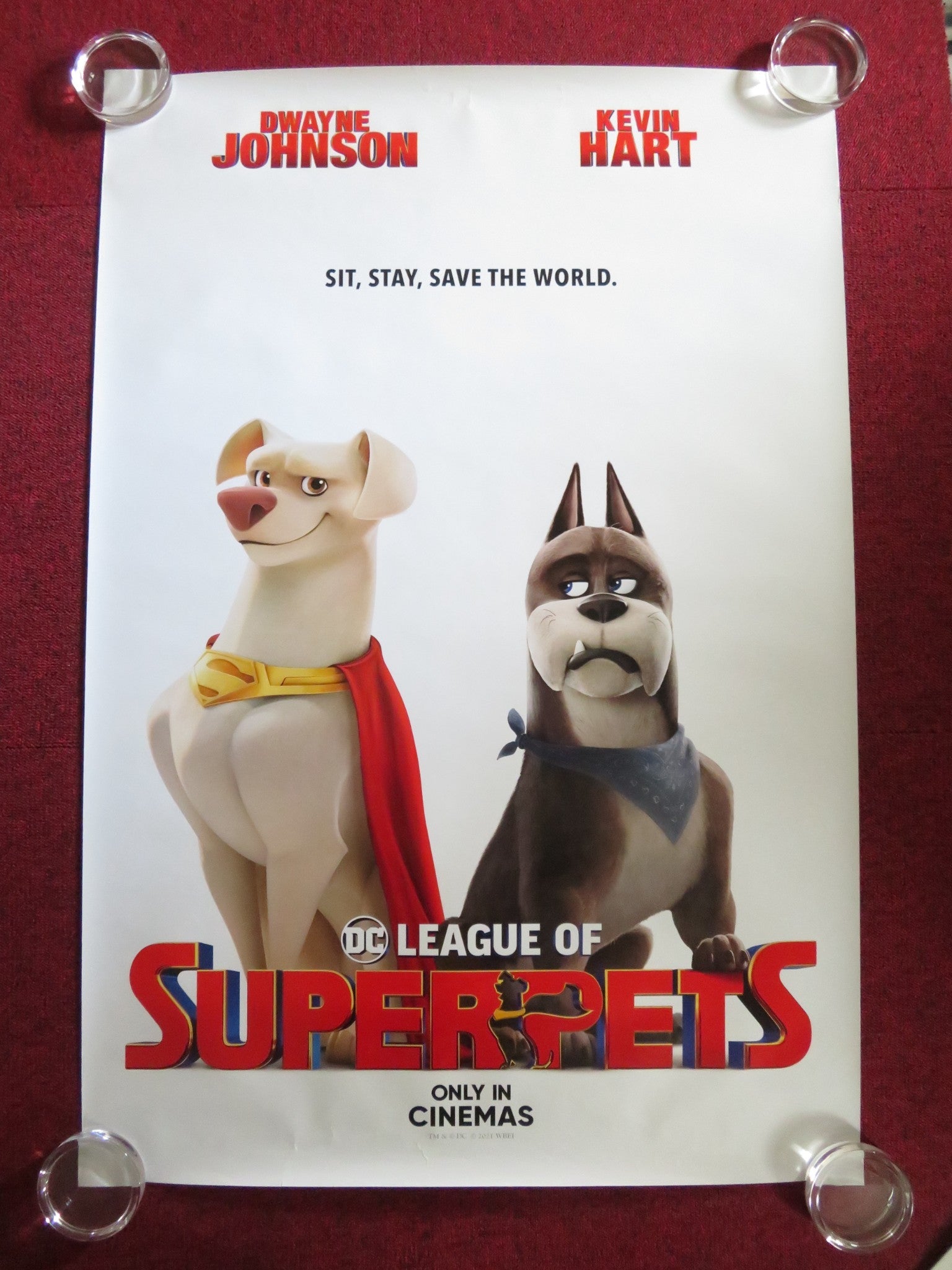 DC LEAGUE OF SUPER PETS US ONE SHEET ROLLED POSTER DWAYNE JOHNSON K. HART 2022 Rendezvous Cinema Movie posters