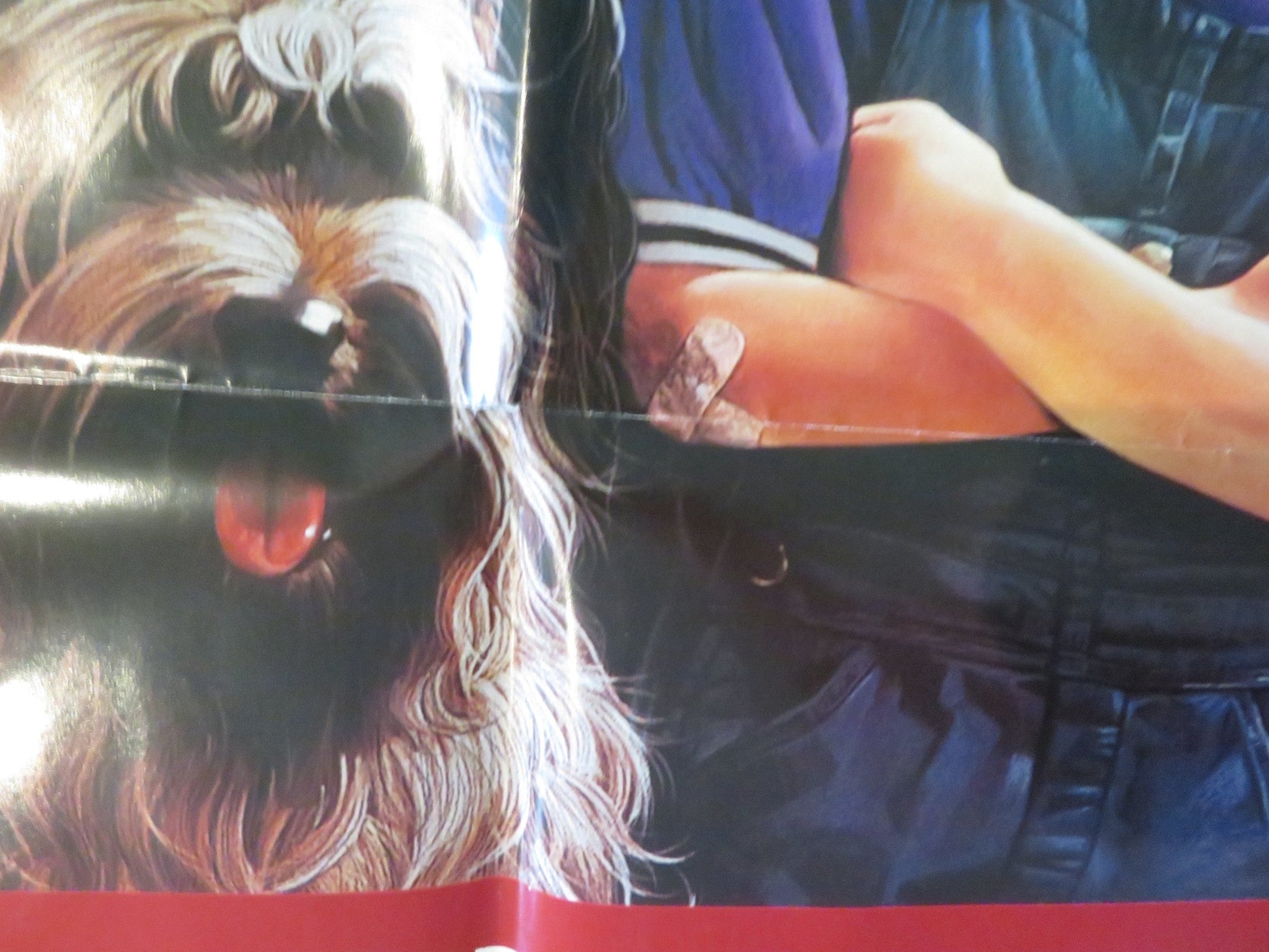 DENNIS THE MENACE FOLDED US ONE SHEET POSTER WALTER MATTHAU MASON GAMBLE 1993 Rendezvous Cinema Movie posters
